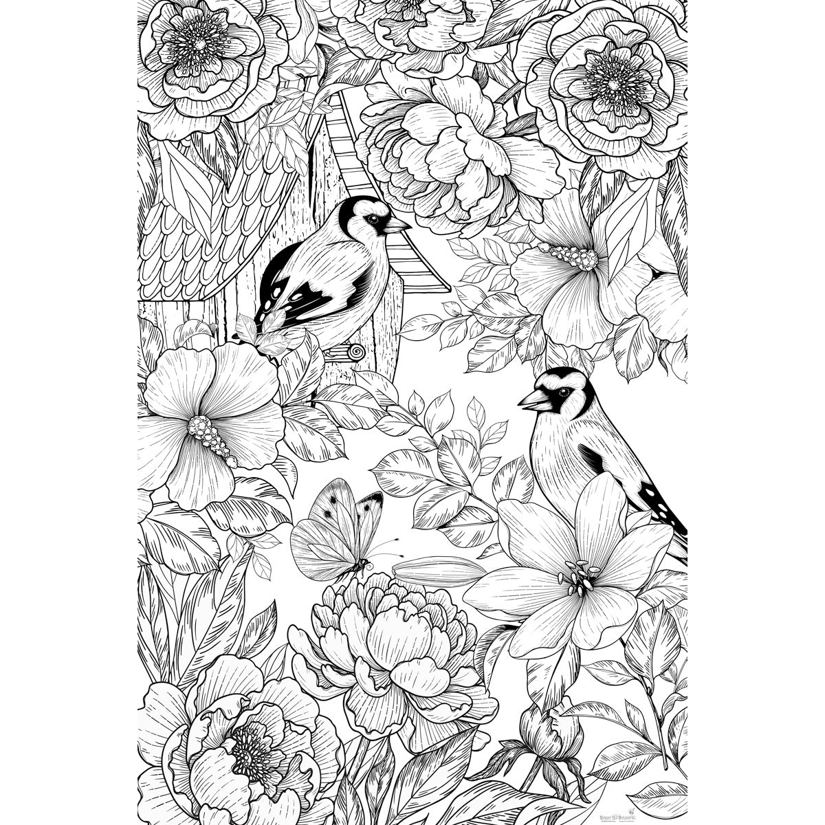 Great2bColorful - Spring Birds Coloring Poster