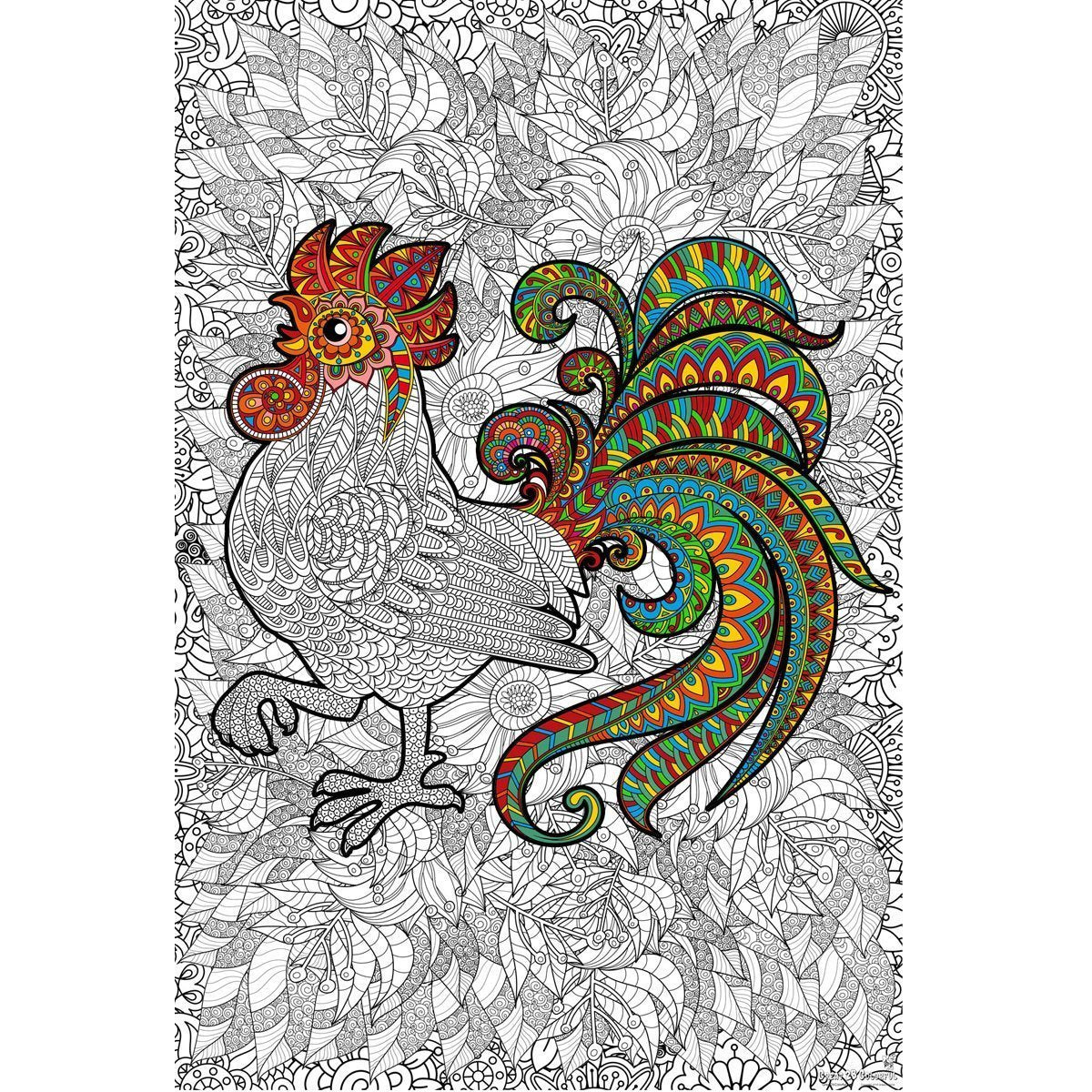 Great2bColorful "Cock-a-Doodle-Do!" Coloring Poster