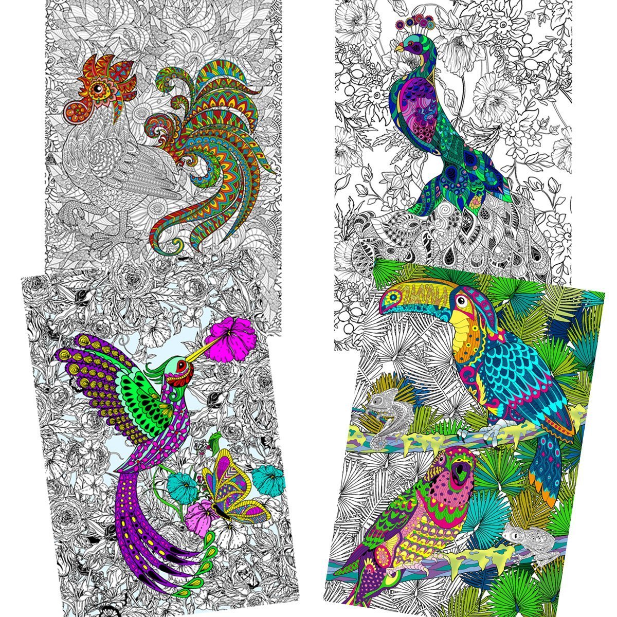 Great2bColorful - 24" x 16" Birds Around The World 4 Pack Coloring Posters