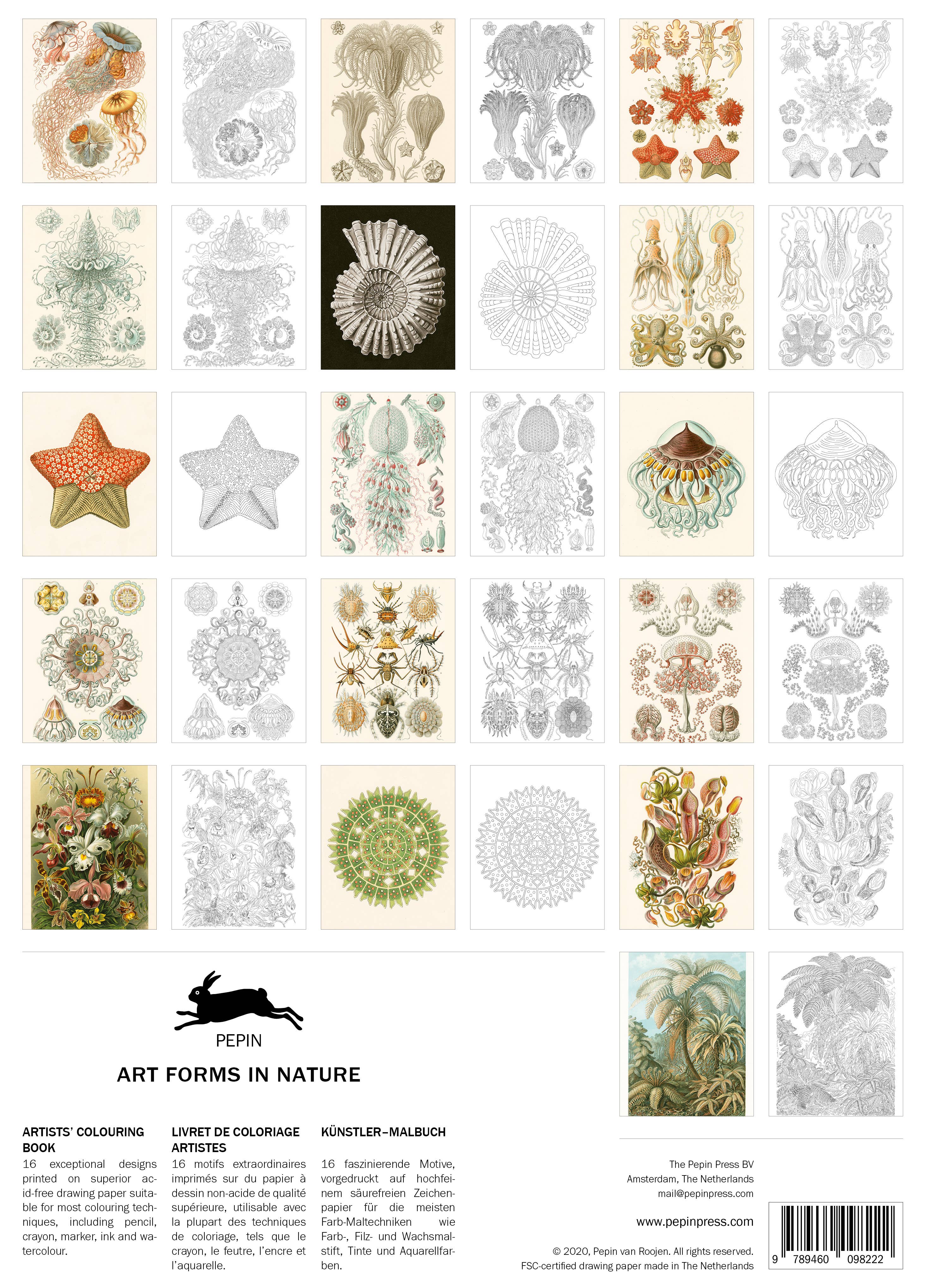 Natural Elegance: An Art Forms In Nature Artists' 16 Page Colouring Book