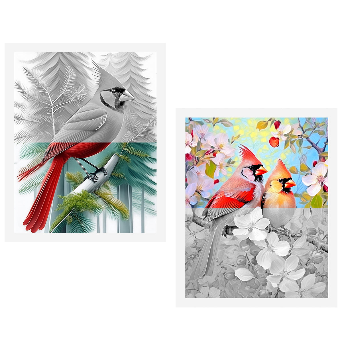 Great2bColorful - 16" x 20" Advanced Grayscale Coloring Sheets, 2 Pack Set - "Cardinals-1"