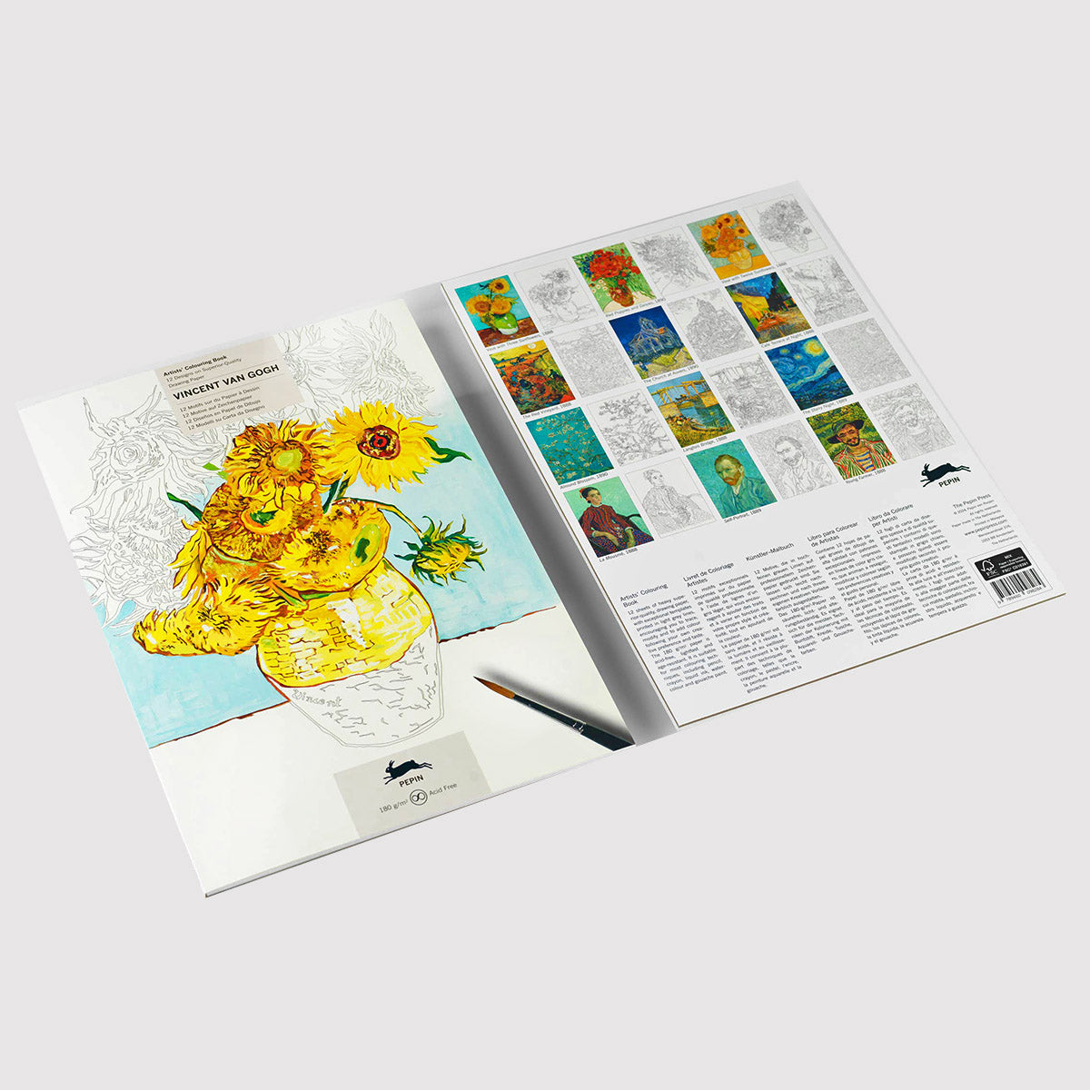 Van Gogh Dreams: A Vincent Van Gogh Inspired 16 Page Professional Colouring Experience