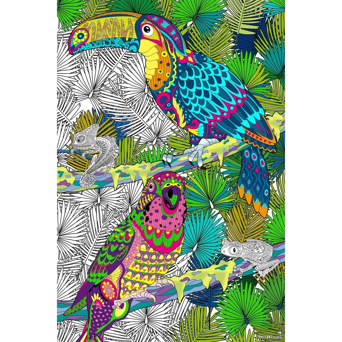 Great2bColorful - 24" x 16" Birds Around The World 4 Pack Coloring Posters