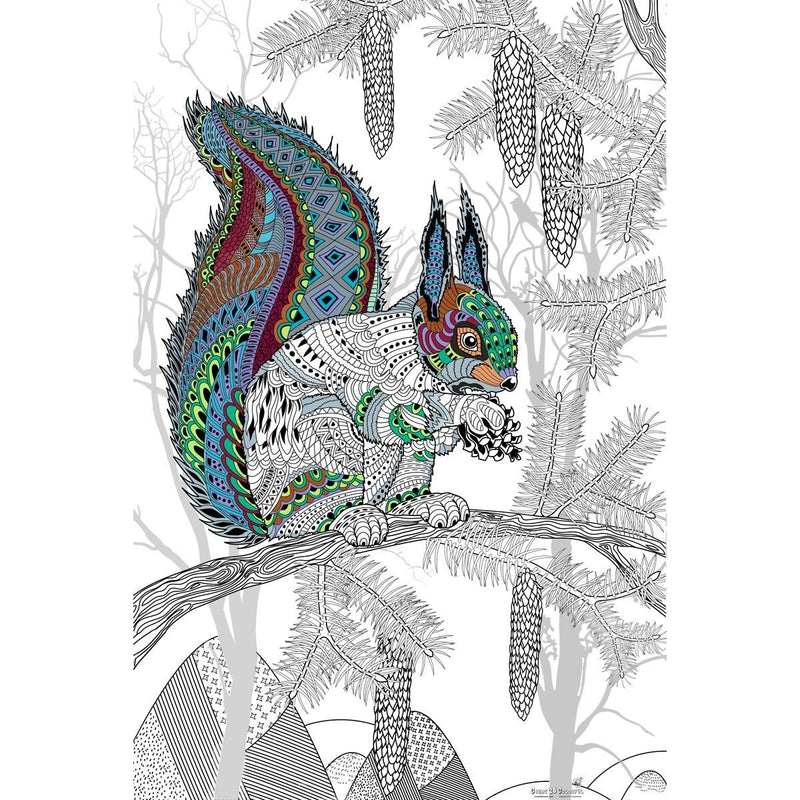 Great2bColorful - Abert's Squirrel Coloring Poster