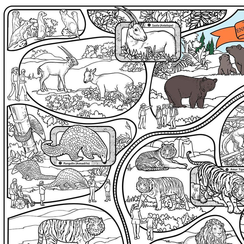 Great2bColorful - A Day At The Zoo Coloring Poster