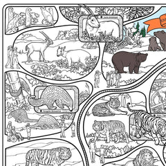 Great2bColorful - A Day At The Zoo Coloring Poster