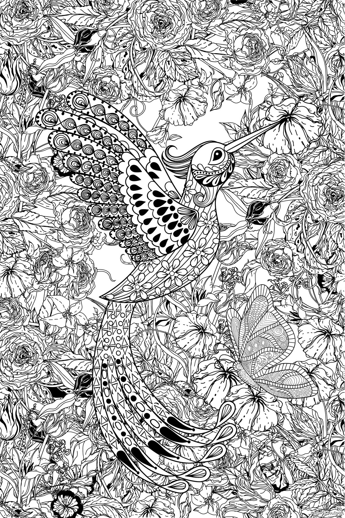 Great2bColorful - Hummingbird Coloring Poster Coloring Poster