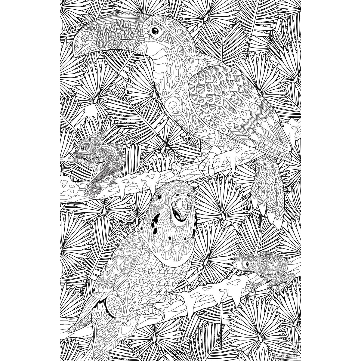 Great2bColorful - Tropical Birds Coloring Poster