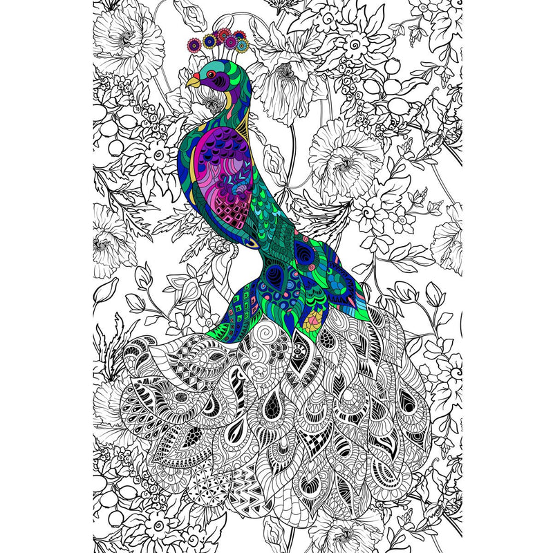 Ornate Peacock - Giant Detailed Coloring Poster for Kids and Adults