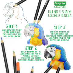 Crayola Signature Blend & Shade Soft Core Colored Pencils in Tin, 50 Count