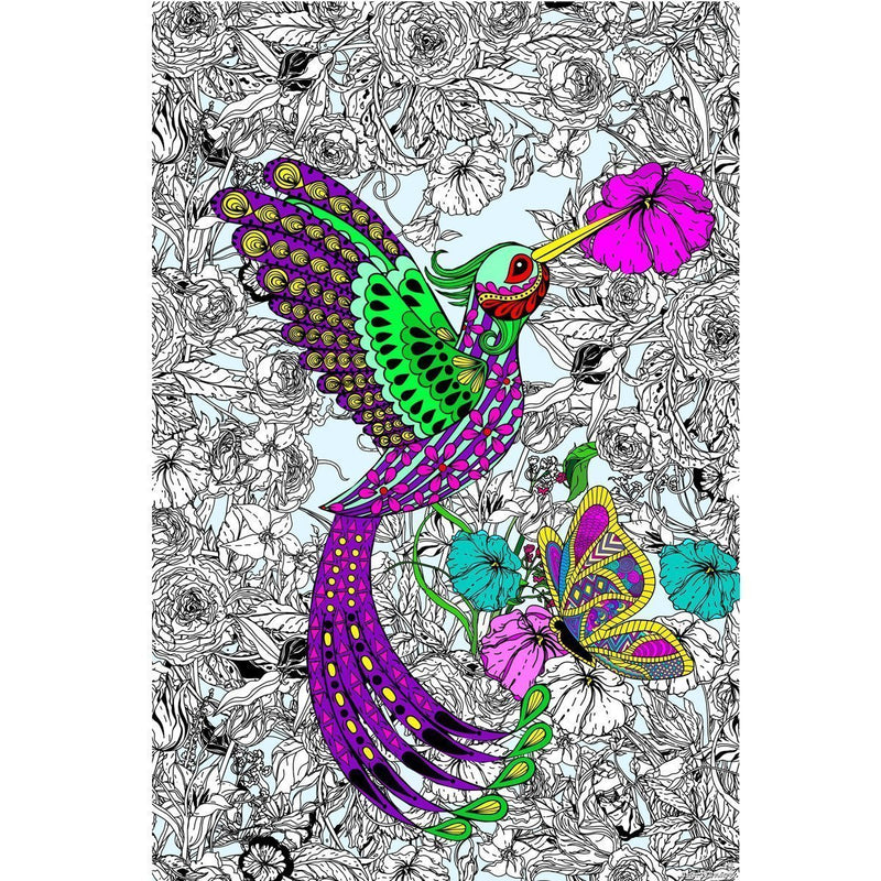 Great2bColorful - Hummingbird Coloring Poster Coloring Poster