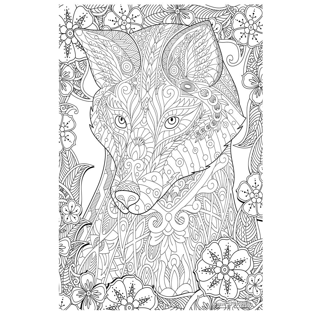 Great2bColorful - Crafty Fox Coloring Poster